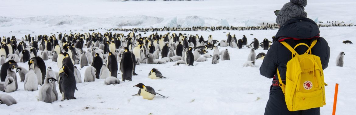 Snow Hill Island, Antarctica, Weddell Sea, IMG_5249 © Alexandra den Dikken - Oceanwide Expeditions_Alexandra den Dikken